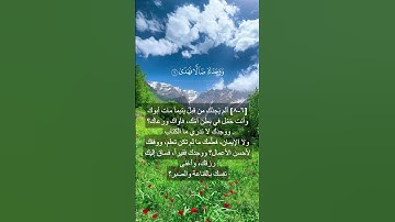 سورة الضحى الشيخ ماهر المعيقلي