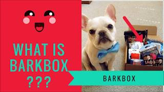 BarkBox What is BarkBox 