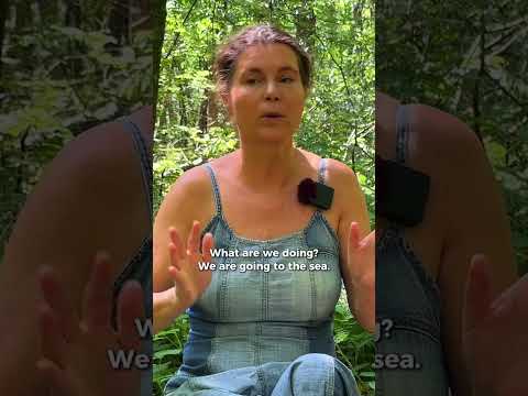 Sunscreen