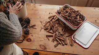 Make an Aromatic Fire Starter Using Seasonal Botanicals