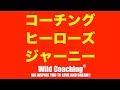 コーチングヒーローズジャーニー クライアントが英雄の旅のプロセスを進むことを支援する【Wild Coachingワイルドコーチング】