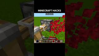 Secret Build Hack That Changes Everything in Minecraft #shorts #minecraft