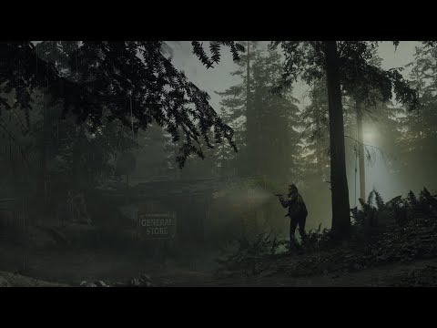 AMD Radeon RX 7900 XTX Benchmark | Alan Wake 2 – Forest