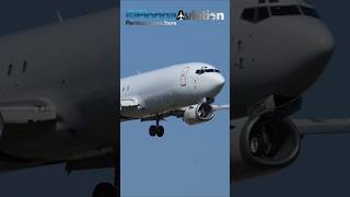 Boeing 737 Cargo Plane Closeup Landing at Miami Int'l Airport KMIA | Plane Spotting