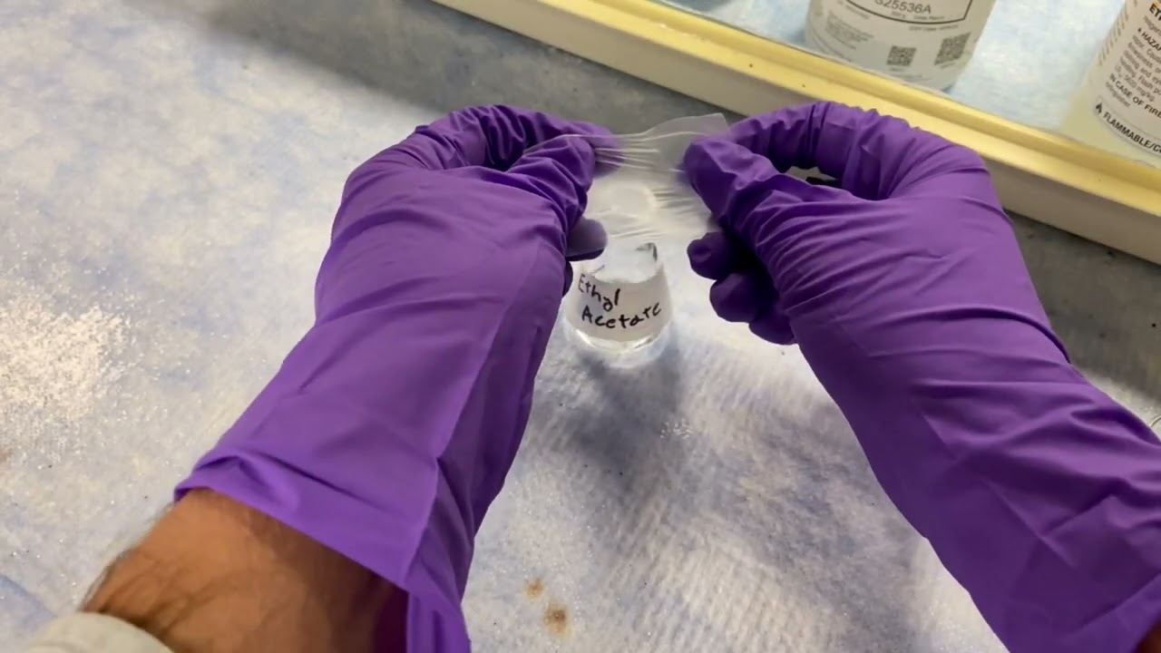 Oxidation of Borneol to Camphor: Guided Walk-Through