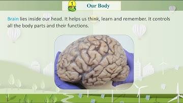 Knowledge Tree Books E.V.S Class 2 Chapter 1