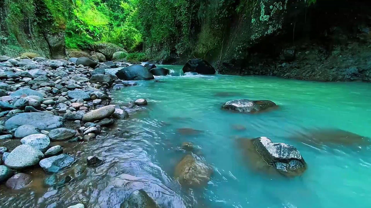 Mountain Stream Gentle Flow, Forest River Noise, Sleeping