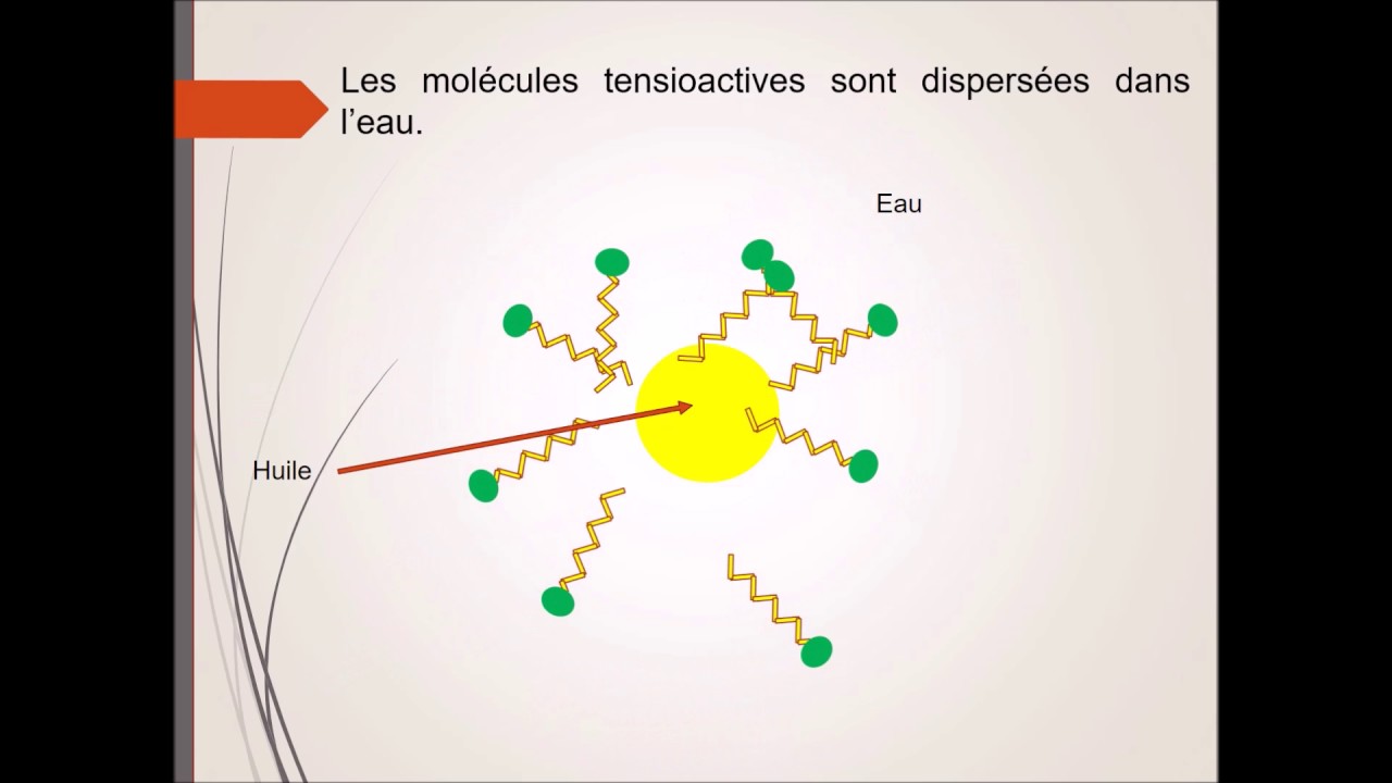 Formation des micelles