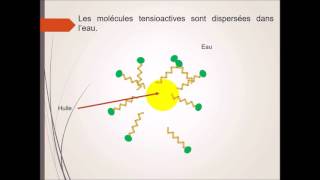Formation des micelles