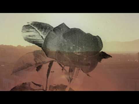 Faodail - Plumeria ❀