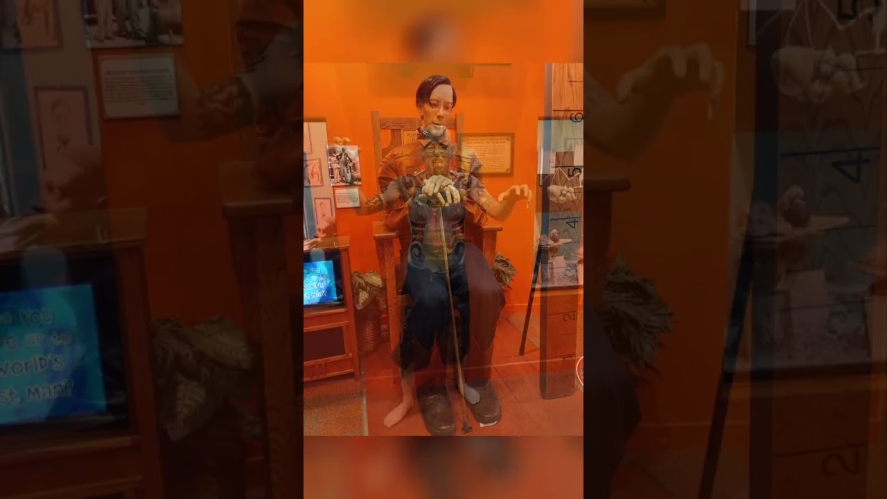 Cool Display @ Ripley's 