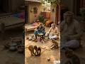 Jay Ram lala Jay jank lali #youtubeshorts #trending #viral #ai #bandar #bandarvlog