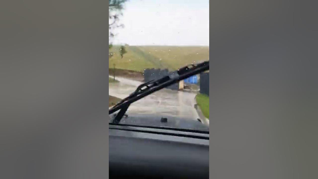 Бороотой өдөр - YouTube