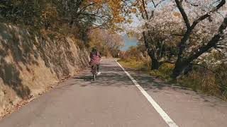 Fall in Love with Megijima Island