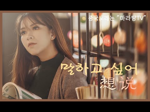 [중국노래/想说말하고싶어] 병음, 중국어발음, 한국어가사