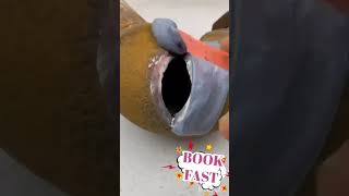 #crackfilling #adhes Multi-Surface, Heat Resistant, Metal Cast Iron Weld Solution *Price @100rs only