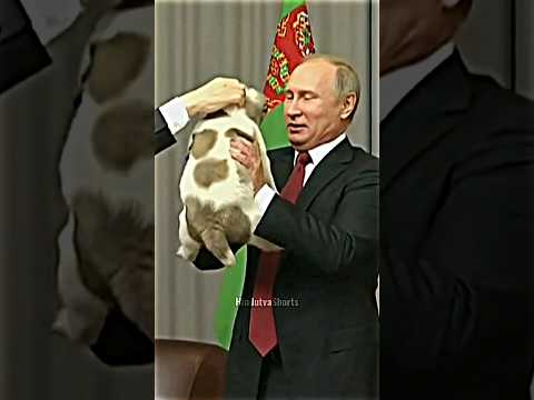 Great Leaders Always Love Animals #respect #putin #modi #sigma