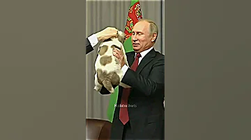 Great Leaders Always Love Animals #respect #putin #modi #sigma