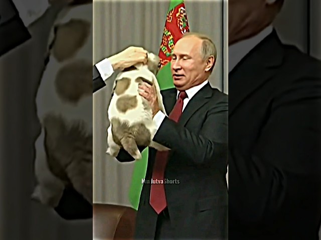 Great Leaders Always Love Animals #respect #putin #modi #sigma class=