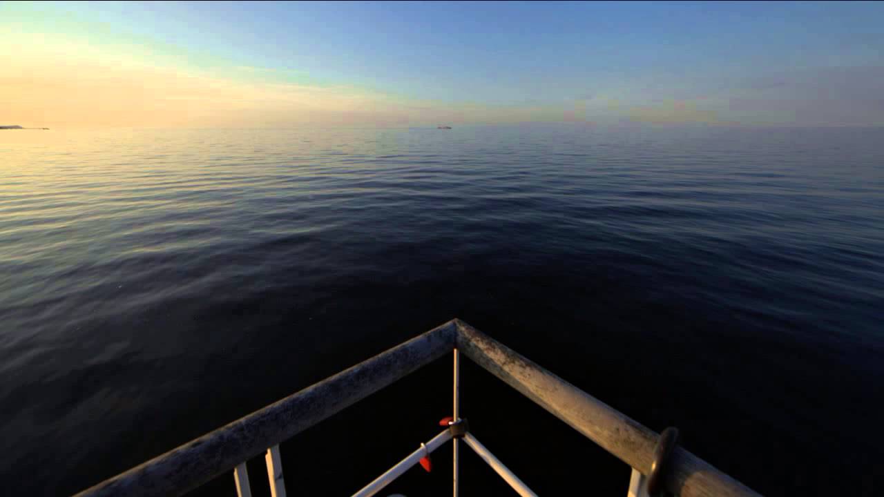 Alexander Volosnikov - Subtle kiss