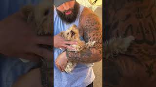 Moki Such A Sweeeeet Girl