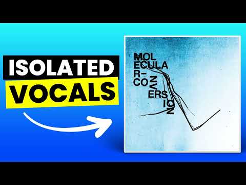 Molecular Conversion - Kim Dracula | Only Vocals (Isolated Acapella)
