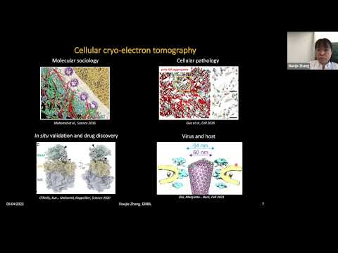 Xiaojie Zhang: "Expect the unexpected in cellular cryo-electron tomography: the story of our..."