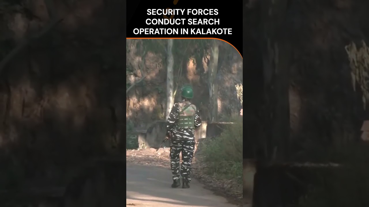Security Forces Conduct Search Operation In Kalakote, Jammu | News9 