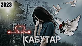 БЕХТАРИН СУРУДИ ЭРОНИ 🌺 🍃             КАБУТАР 2023