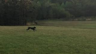 IMG 9641