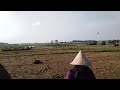 Masya Alloh tani ini#tani
