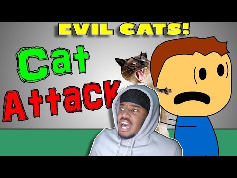 Brewstew - Cat Attack REACTION