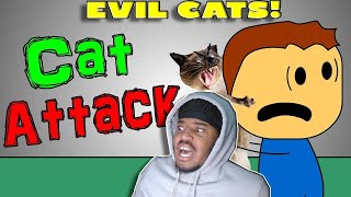 Brewstew - Cat Attack REACTION
