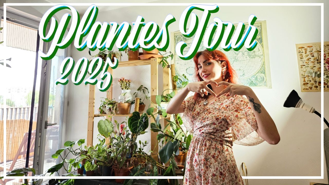 🪴PLANTES TOUR 2025 | + de 50 plantes d'intérieur💚