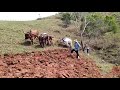 Aração de terra sitio sao joão batista