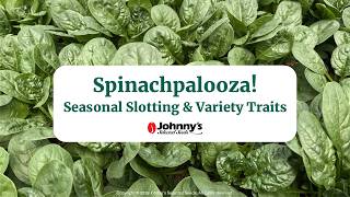 Spinachpalooza—Seasonal Slotting & Variety Traits | Johnny's Webinar Series
