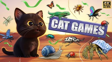 CAT GAMES 🐾3D Game for Cats | Video for Cats  – Ultimate CAT TV #87😻 4K60FPS
