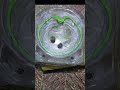 Keep Spinning | Viper Tail vs. Dran Buster! #beyblade #beybladex #beybladeburst #epicbattles