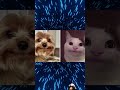 Try Not to LAUGH at These MEMES! 🤣 #memes