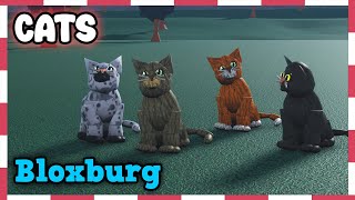 HOW TO build CATS in Bloxburg!