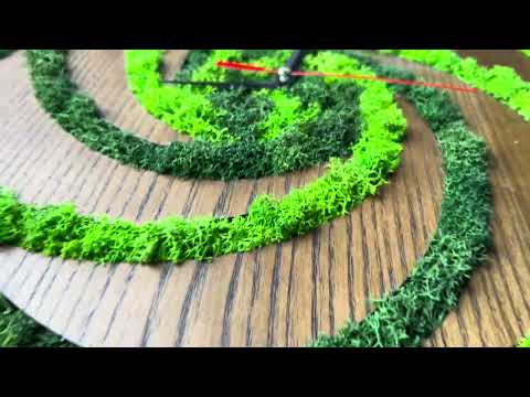 Еко-годинник з дерева ясеня — Живий мох, жива естетика, видео 1