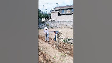 Robots replace oxen pulling plowshares. — The reality of life in China #funny #farming #vegetables
