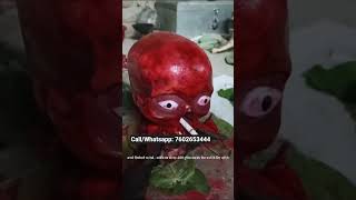 “Sattru Daman &amp; Sattru Mukti Kriya – Powerful Vashikaran” Call: 7602653444