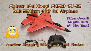Flybear (Fei Xiong) FX620 SU-35 2CH 250mm EPP RC Airplane - Full Review of Another Amazing Micro Jet