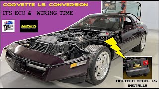 Tuff Cammed, 6 Speed, LS Swapped C4 Corvette Build Pt4