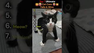 Top 7 Ultimate Cat Core Fails & Wins || Cat Ranking #26