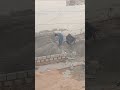 jcb ki khdauuui