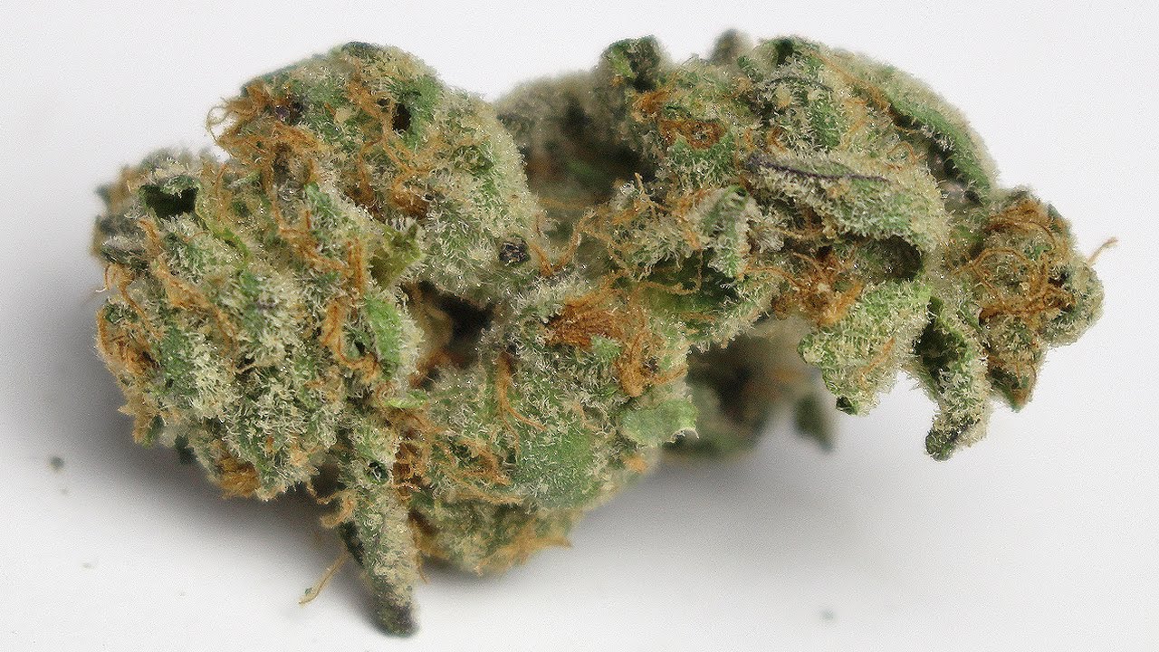 "Animal Cookies" - (Strain Review)