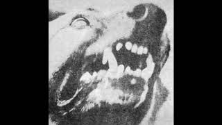 BUGSEED - ATTACK DOGG