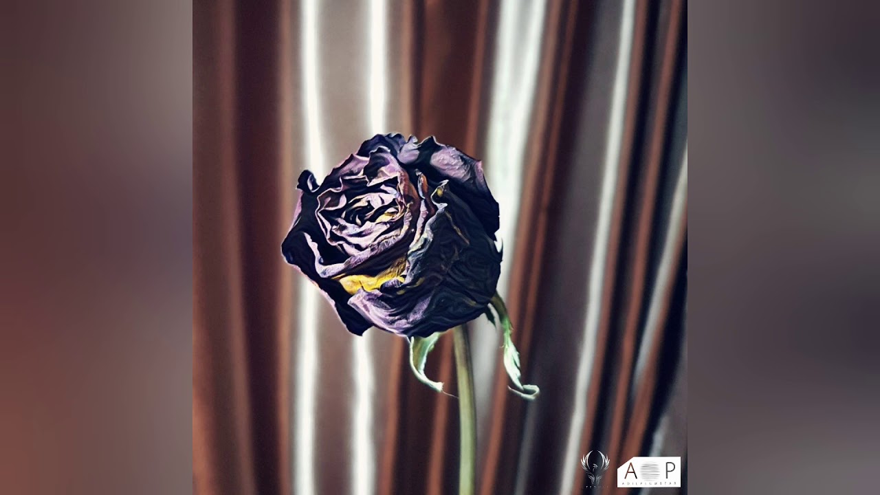 {artistName}의 {trackName} 뮤직 비디오 보기